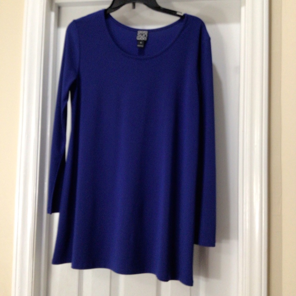 Clara Sun Woo Royal Blue Long Sleeve Swing Tunic